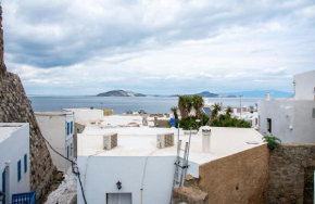 Historical home near the sea in Mandraki